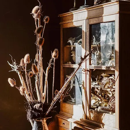 Ferienhaus Charming In A Heritage Country Estate